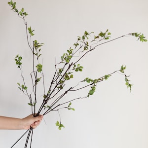 40 &#39;Faux Zweige, künstliche Zweige, Gartenblumen Geschenk, Herbst Stengel, künstliche Zweige, künstliche Zweige / künstliche Pflanzen