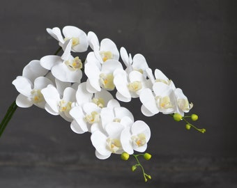 Real touch orchid, Silk orchids, White orchids, Artificial orchid, Real touch flowers, Faux orchids