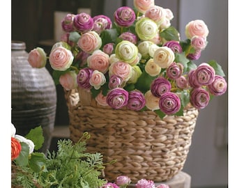 Faux Ranunculus, Small White Ranunculus, Peach Ranunculus, Artificial Flowers Arrangement, Artificial Ranunculus, Silk Ranunculus