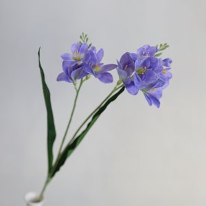 Puede incluir: Un ramo de flores de freesia moradas con tallos verdes. Las flores est&aacute;n dispuestas en un jarr&oacute;n.