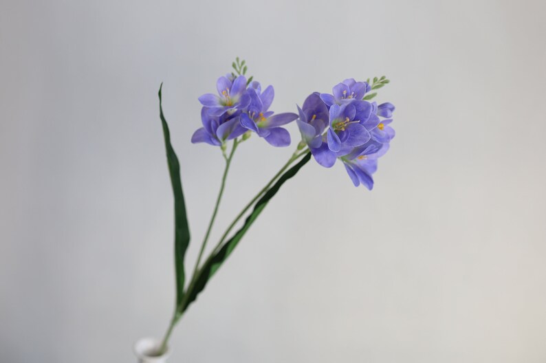 Puede incluir: Un ramo de flores de freesia moradas con tallos verdes. Las flores est&aacute;n dispuestas en un jarr&oacute;n.