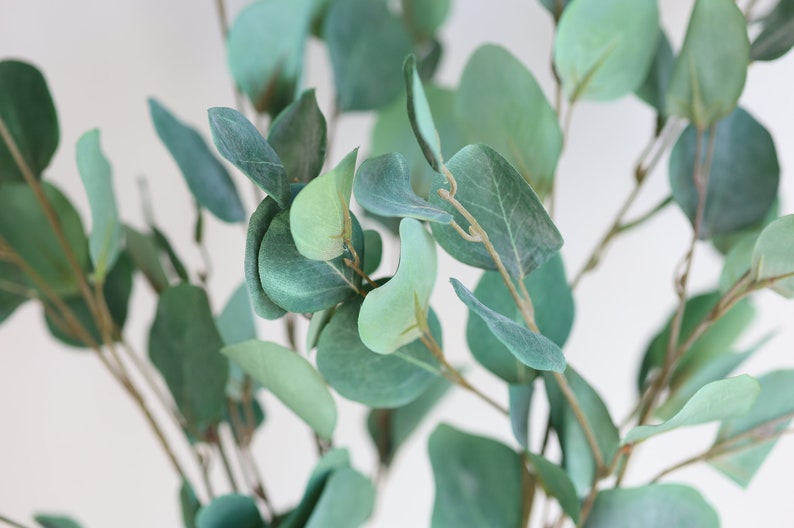 Op de afbeelding: Een close-up van een bos kunstmatige eucalyptusbladeren. De bladeren zijn lichtgroen van kleur en hebben een zachte, fluweelachtige textuur.