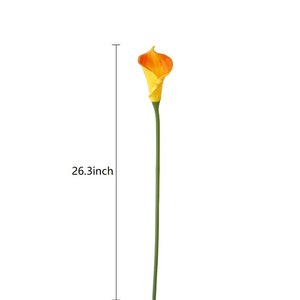 以下が含まれることがあります： 緑色の茎を持つ、黄色とオレンジ色の造花のカラスユリ。花は67cmの高さです。