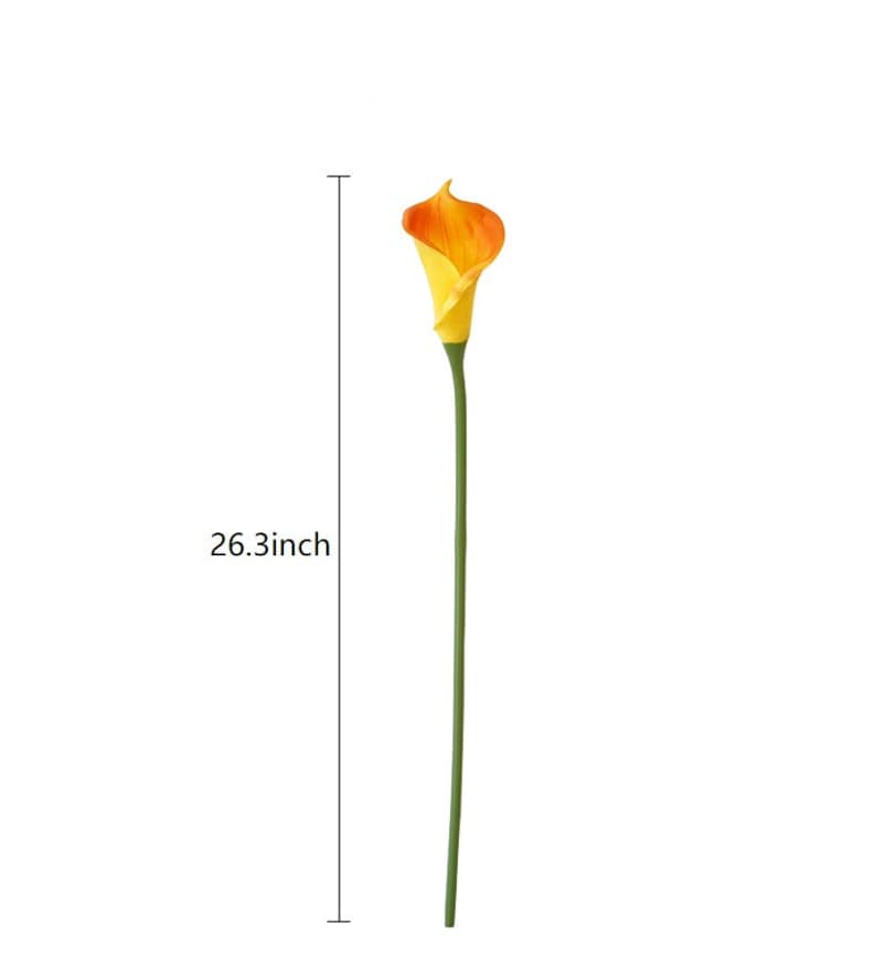 以下が含まれることがあります： 緑色の茎を持つ、黄色とオレンジ色の造花のカラスユリ。花は67cmの高さです。