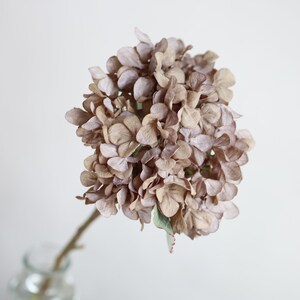 Puede incluir: Un solo tallo de flores de hortensia secas de color marr&oacute;n claro. Las flores est&aacute;n dispuestas en forma redonda y tienen un aspecto delicado y texturizado.