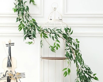 May include: A white decorative birdcage with two wooden shelves, adorned with green leafy vines. A white violin statue with a black bow and music stand is positioned to the left. The background is a white wall with molding.