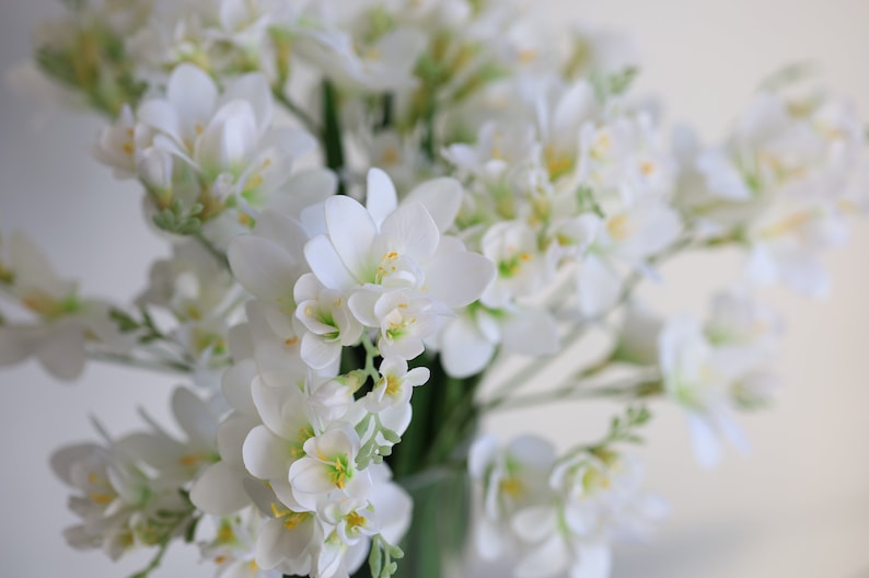 May include: A bouquet of white freesia flowers with yellow centers. The flowers are arranged in a vase and are in focus, while the background is blurred.