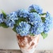 see more listings in the hydrangea section