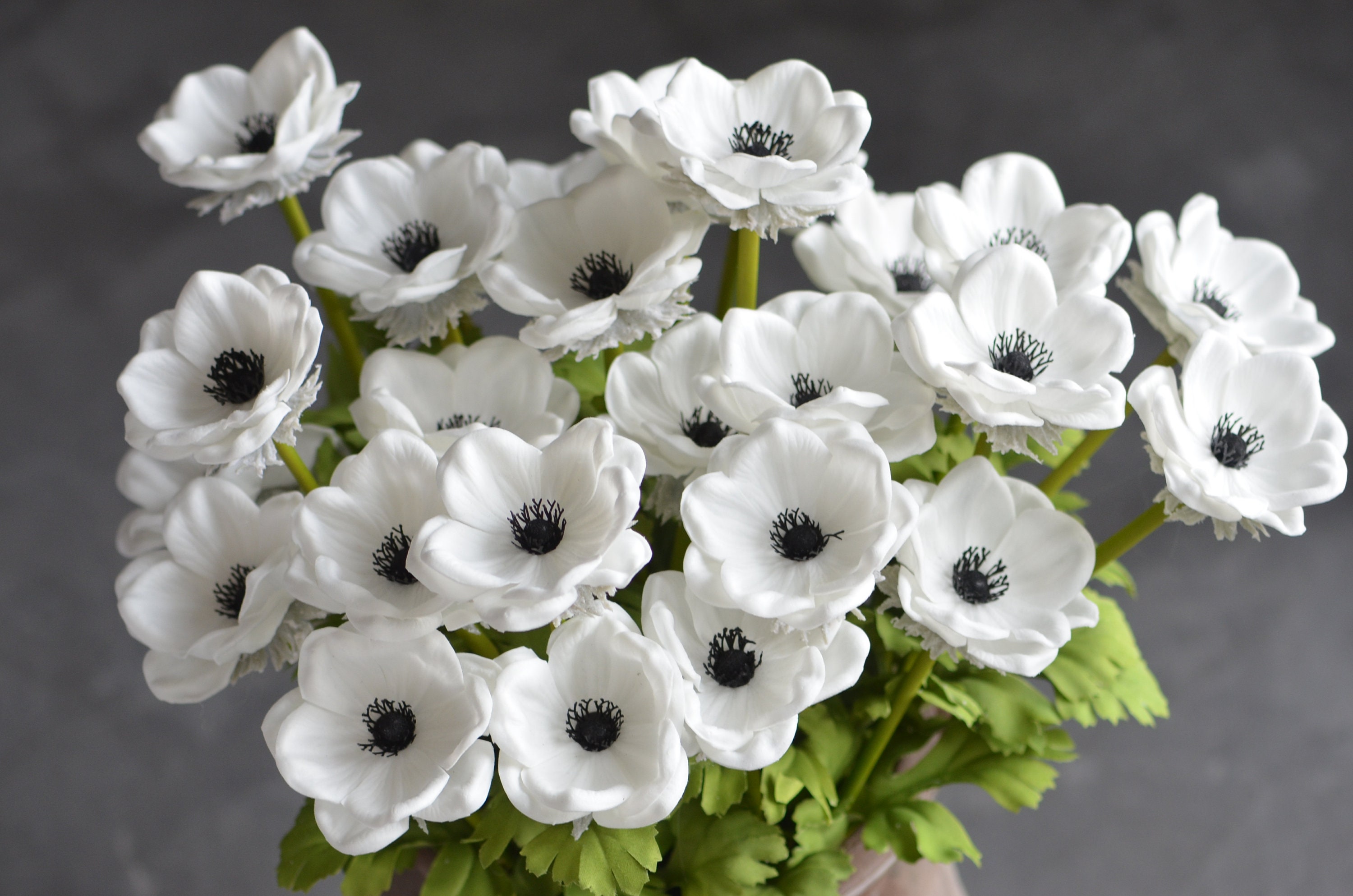 Solid Black Center Anemones Real Touch Flowers Centerpieces Etsy Canada