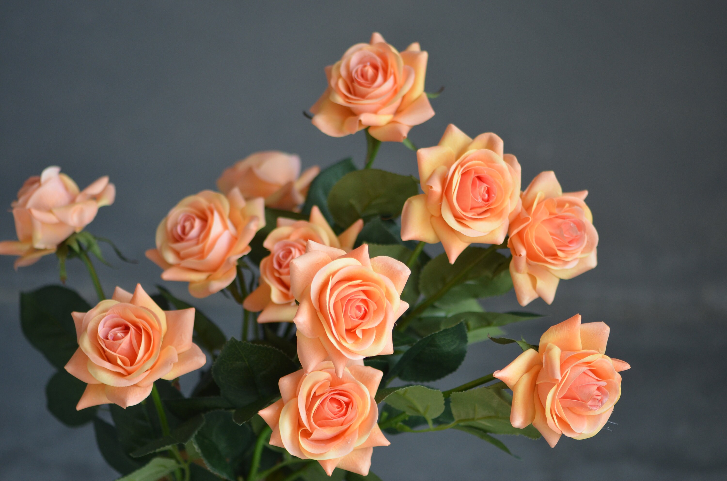 Orange Roses, Real Touch Flowers, Real Touch Roses, Silk Roses, Home ...