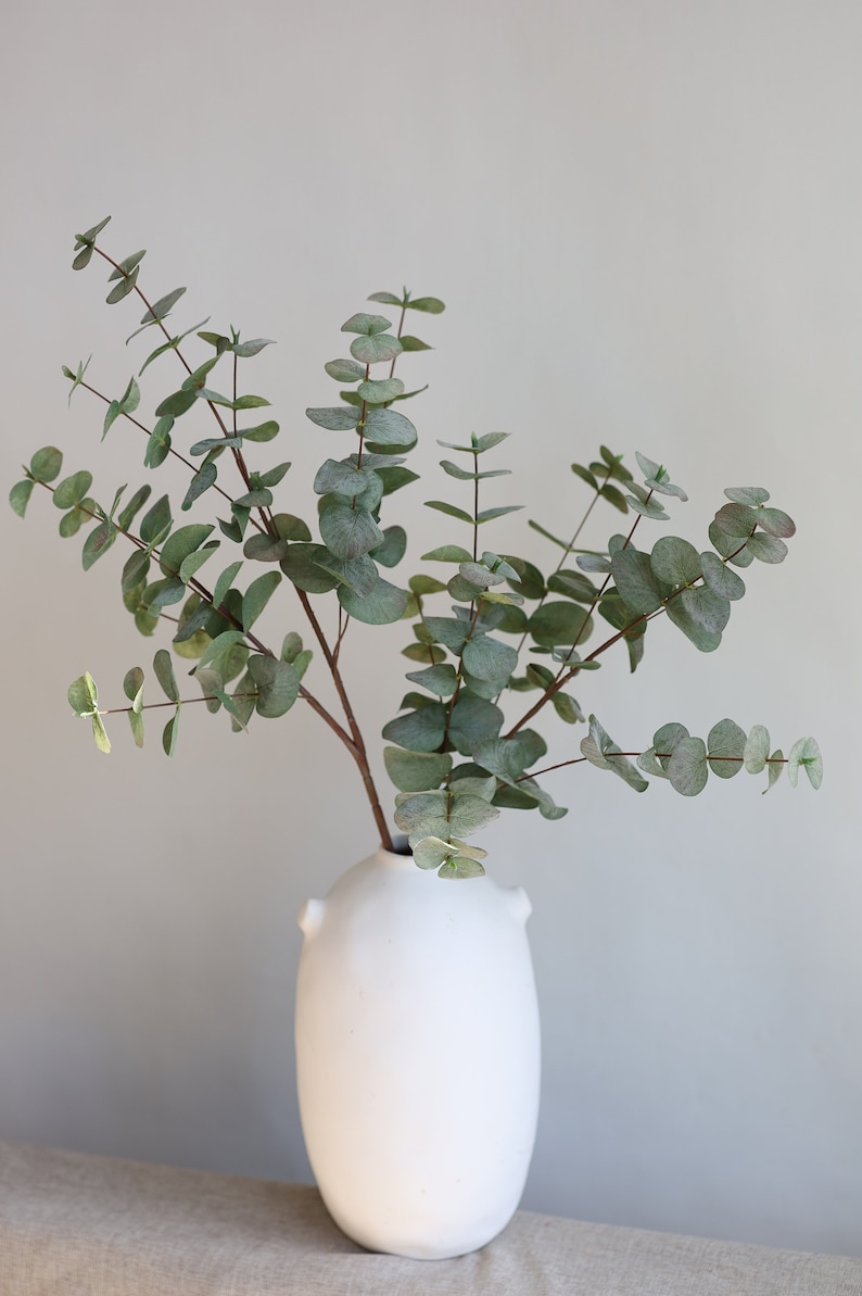 May include: A white ceramic vase with a rounded shape and two small handles holds several stems of eucalyptus. The eucalyptus leaves are a muted green with a hint of red, creating a natural and calming aesthetic.