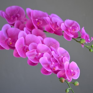 Artificial orchid, Real touch orchid, Silk orchids, Hot Pink orchids,  Real touch flowers, Faux orchids