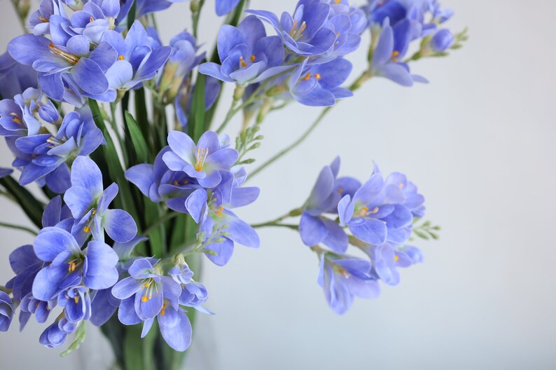 Puede incluir: Un ramo de flores de fresia de color lila claro en un jarr&oacute;n de vidrio transparente. Las flores est&aacute;n dispuestas en un estilo suelto y natural.