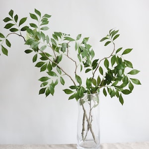 Hastes de glicínias de 31&quot;, ramo de glicínias, galhos falsos, hastes falsas, hastes de glicínias, decoração de casa/hastes de vegetação/plantas falsas