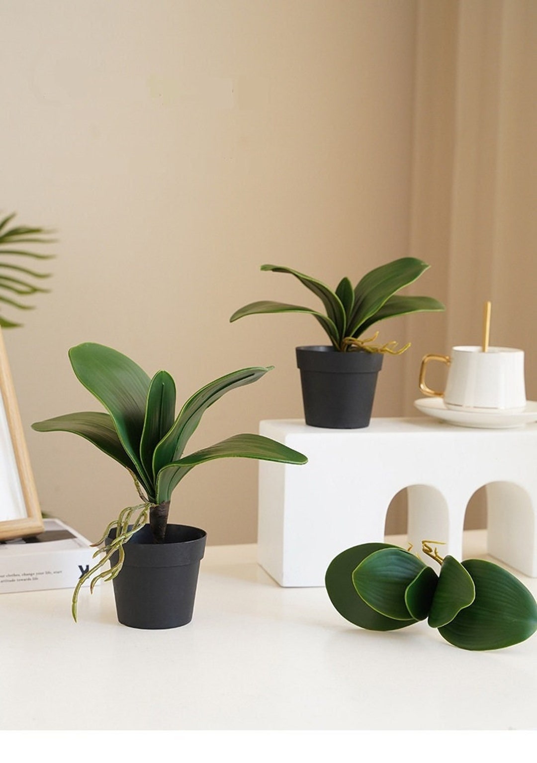 Orchid Leaves, Real Touch Orchid Leaves, Artificial Orchid Leaves, Real