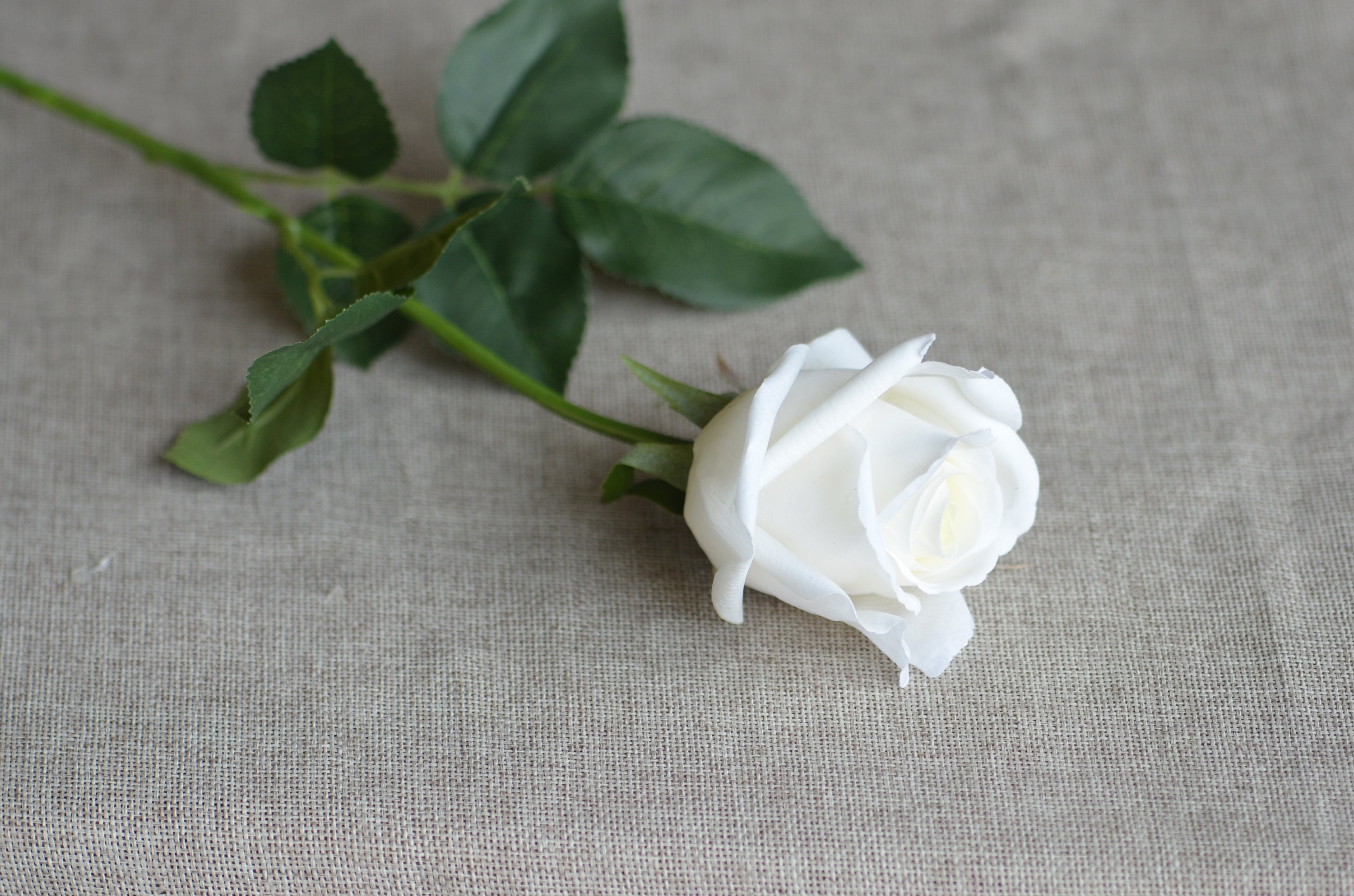 Real Touch Roses, Real Touch Flowers, Burgundy Roses, Real Looking ...