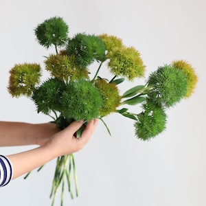 19,6" kunstmatige dianthus, faux dianthus, bloemstuk/groene dianthus /huisdecoratie