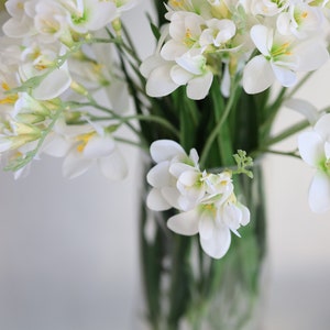 May include: A bouquet of white freesia flowers with yellow centers in a clear glass vase. The flowers are arranged in a cluster and have a delicate, feminine appearance.
