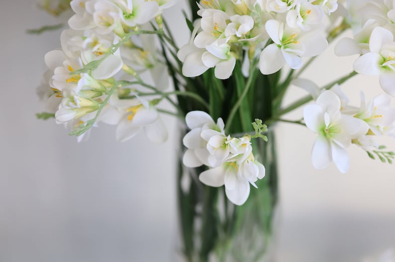 May include: A bouquet of white freesia flowers with yellow centers in a clear glass vase. The flowers are arranged in a cluster and have a delicate, feminine appearance.