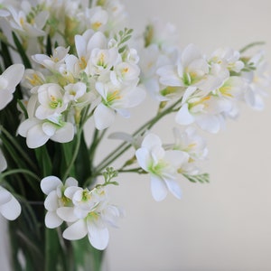 May include: A bouquet of white freesia flowers with yellow centers in a clear glass vase.