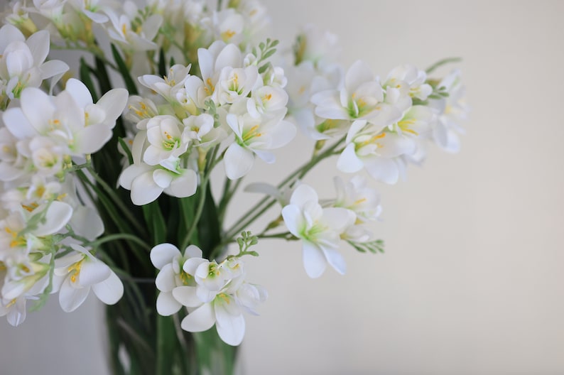 May include: A bouquet of white freesia flowers with yellow centers in a clear glass vase.