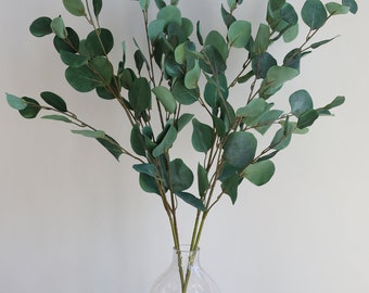 Könnte beinhalten: Ein Strauß künstlicher Eukalyptus-Stiele in einer klaren Glasvase mit strukturierter Oberfläche. Die Vase steht auf einer Holzoberfläche.
