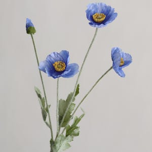 Puede incluir: Un ramo de cuatro flores de amapola azules con centros amarillos. Las flores est&aacute;n dispuestas en un solo tallo con hojas verdes.
