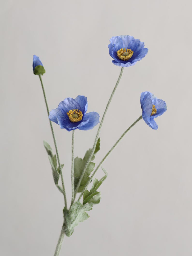 Puede incluir: Un ramo de cuatro flores de amapola azules con centros amarillos. Las flores est&aacute;n dispuestas en un solo tallo con hojas verdes.