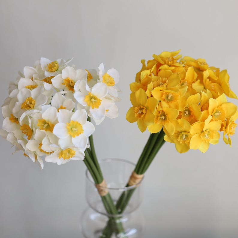 Peut inclure: Deux bouquets de jonquilles artificielles dans un vase en verre transparent. Un bouquet est blanc avec des centres jaunes, et l'autre est jaune. Les tiges sont vertes.