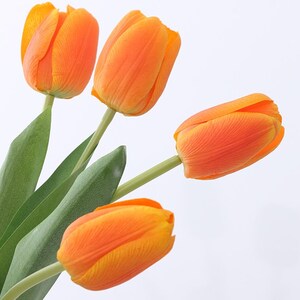 May include: A bouquet of four orange tulips with green stems and leaves.