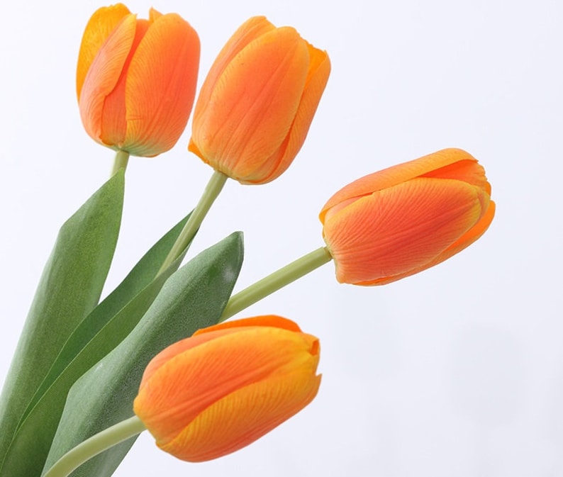 May include: A bouquet of four orange tulips with green stems and leaves.
