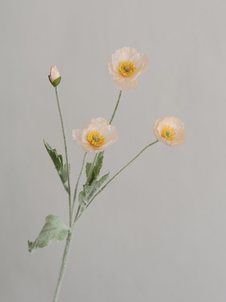 Puede incluir: Un ramo de cuatro delicadas flores de amapola de color melocot&oacute;n con centros amarillos. Las flores est&aacute;n dispuestas en un solo tallo con hojas verdes.
