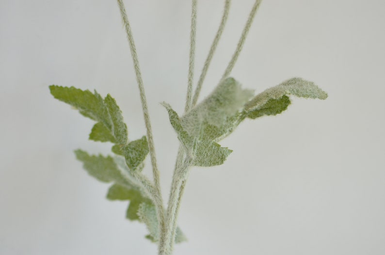 Peut inclure: Gros plan sur une tige de plante artificielle verte avec des feuilles duveteuses. La tige est en fil de fer et les feuilles sont en mati&egrave;re douce et duveteuse.