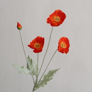 Peut inclure: Un bouquet de trois fleurs de pavot orange avec des feuilles vertes et un bouton. Les fleurs ont un centre jaune et sont dispos&eacute;es sur une seule tige.