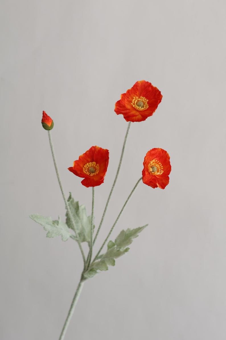 Peut inclure: Un bouquet de trois fleurs de pavot orange avec des feuilles vertes et un bouton. Les fleurs ont un centre jaune et sont dispos&eacute;es sur une seule tige.