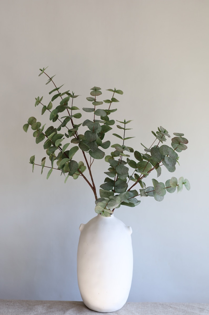 May include: A white ceramic vase with a rounded body and two small handles holds a sprig of eucalyptus. The eucalyptus has green, round leaves and brown stems. The vase is set against a neutral background.