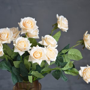 Roses de champagne pâles, fleurs Real Touch, roses Real Touch, roses ivoire, décoration intérieure, vraies roses, rose chou, décor de mariage