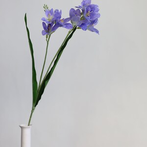 Puede incluir: Un ramo de flores moradas con tallos verdes en un jarr&oacute;n de cer&aacute;mica blanco sobre un fondo blanco.