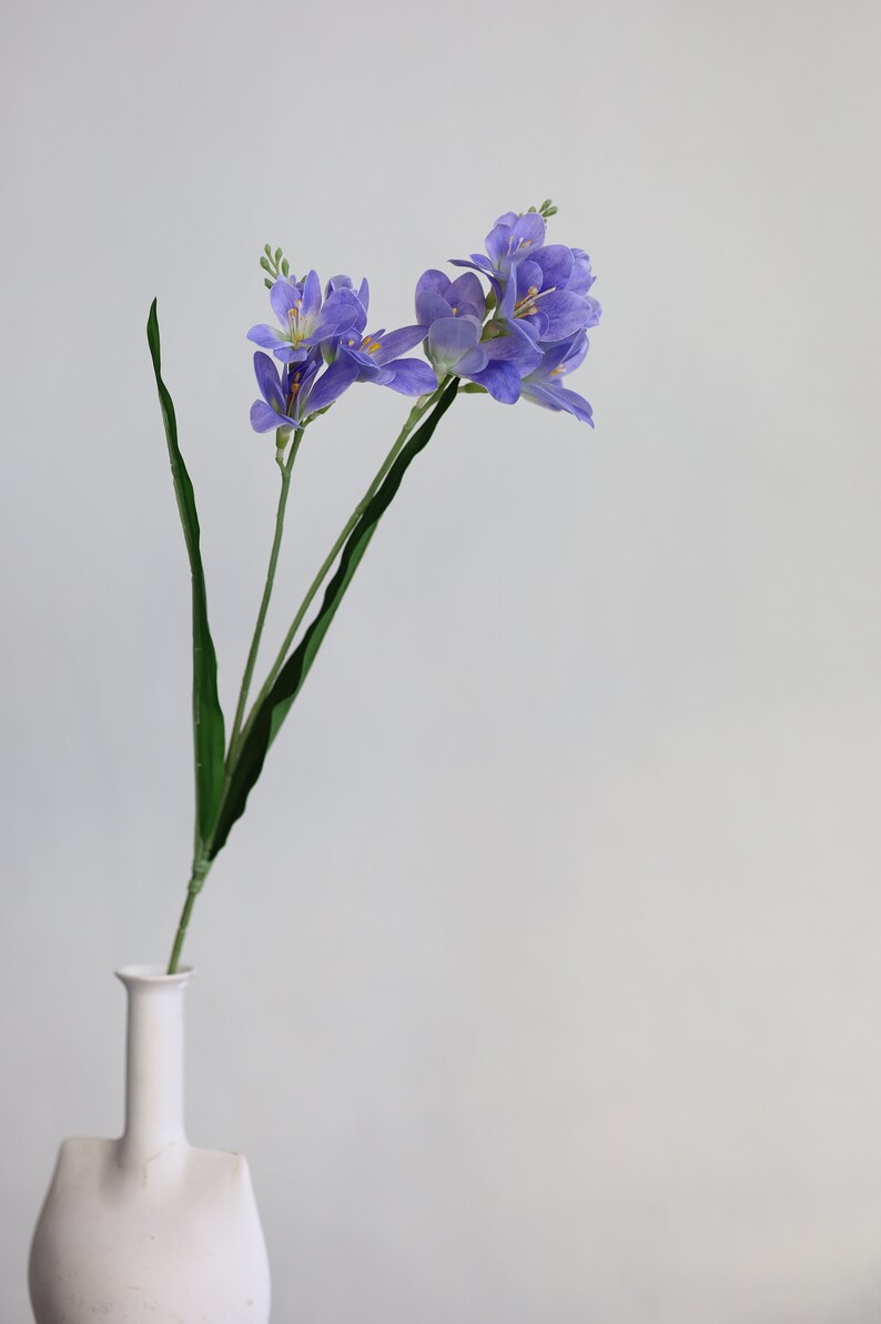 Puede incluir: Un ramo de flores moradas con tallos verdes en un jarr&oacute;n de cer&aacute;mica blanco sobre un fondo blanco.