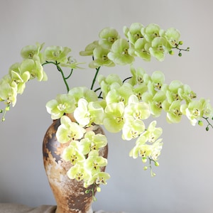34&quot; Real touch Orchid, Orchid Stem, Silk orchids, Green orchids, Artificial orchid, Real touch flowers, Faux orchids, Gift