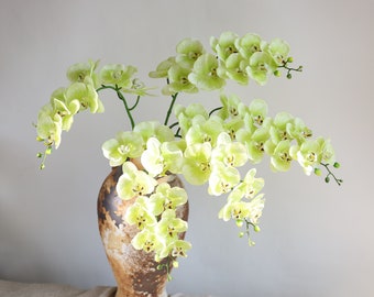 34" Orquídea de tacto real, Tallo de orquídea, Orquídeas de seda, Orquídeas verdes, Orquídea artificial, Flores de tacto real, Orquídeas falsas, Regalo