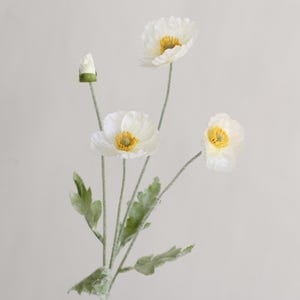Puede incluir: Un ramo de flores de amapola blancas con centros amarillos. Las flores tienen p&eacute;talos delicados y est&aacute;n dispuestas en tallos largos con hojas verdes.