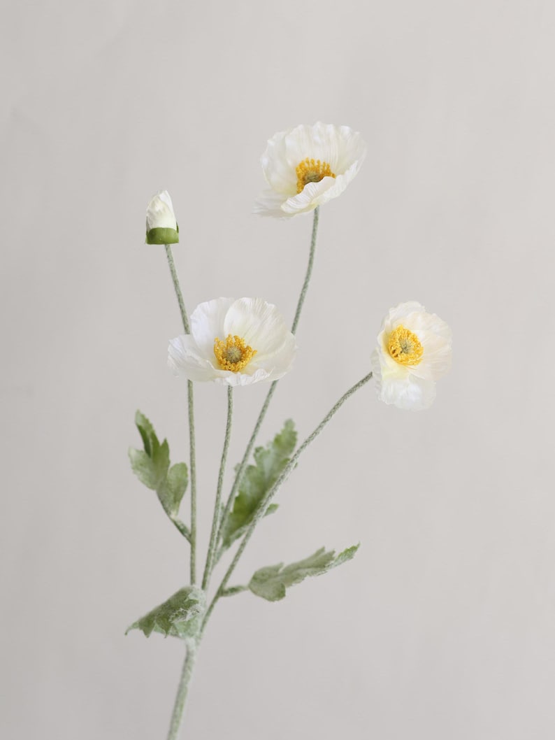 Puede incluir: Un ramo de flores de amapola blancas con centros amarillos. Las flores tienen p&eacute;talos delicados y est&aacute;n dispuestas en tallos largos con hojas verdes.