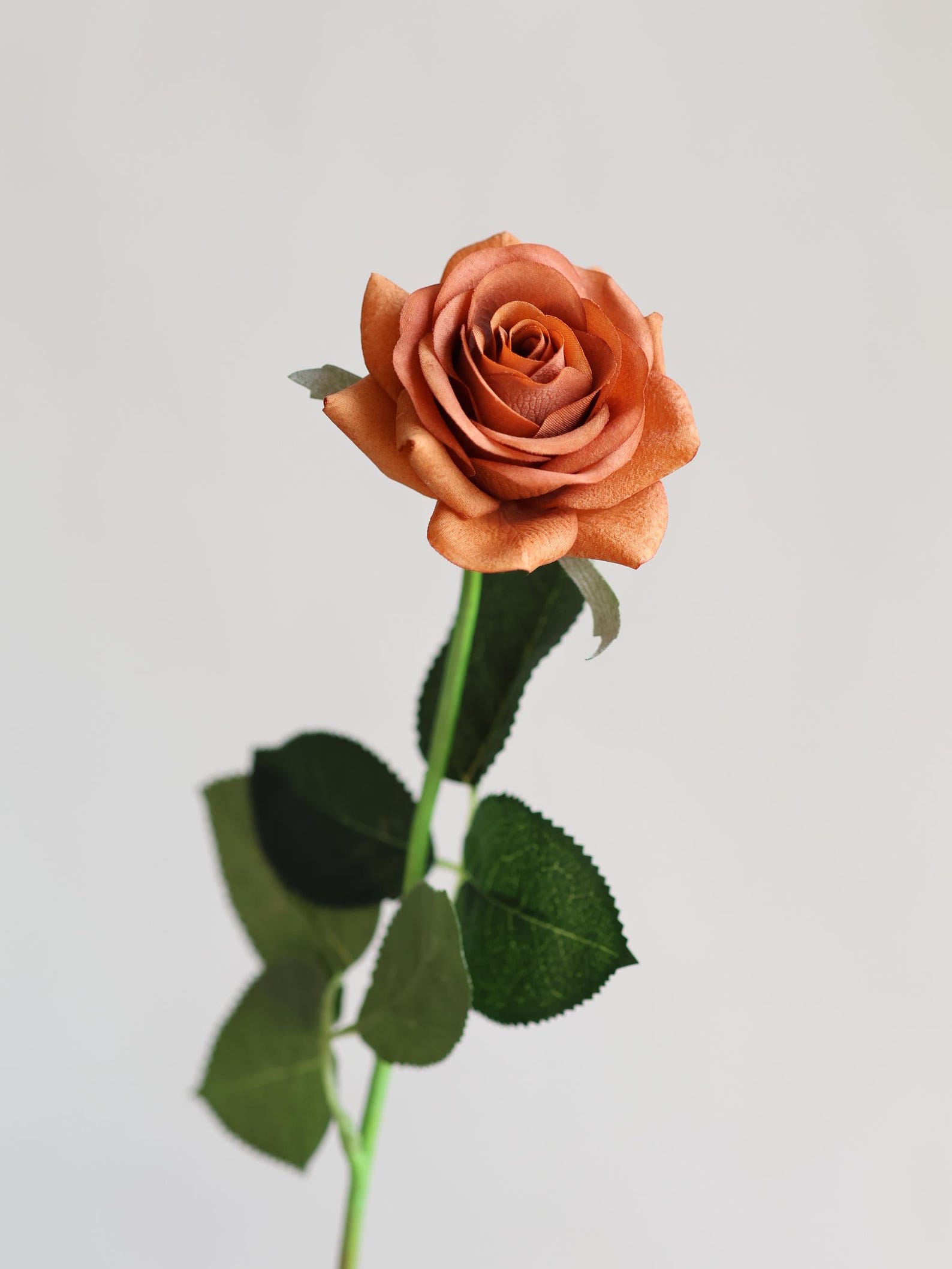 Real Touch Burnt Orange Roses, 16
