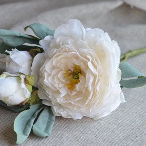 May include: A single white peony flower with green leaves. The flower is fully bloomed and has a delicate, creamy white colour.