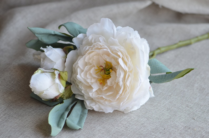 May include: A single white peony flower with green leaves. The flower is fully bloomed and has a delicate, creamy white colour.