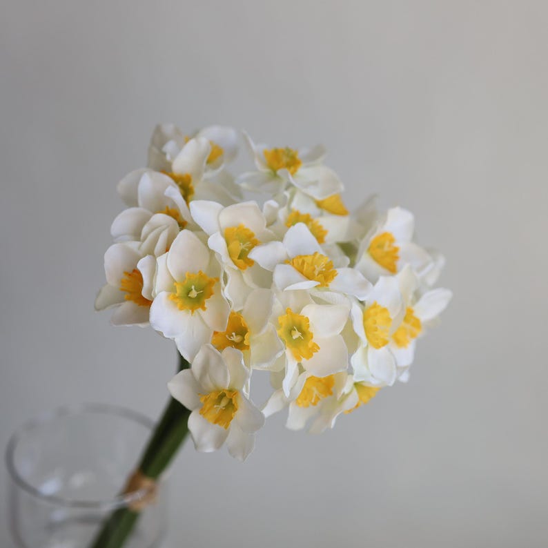 Peut inclure: Un bouquet de jonquilles blanches avec des centres jaunes. Les fleurs sont dispos&eacute;es en grappe et ont une apparence d&eacute;licate et printani&egrave;re.