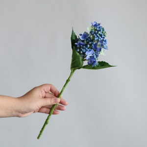 May include: A single stem of blue hydrangea flowers with green leaves. The flowers are clustered together and have a delicate, airy appearance.