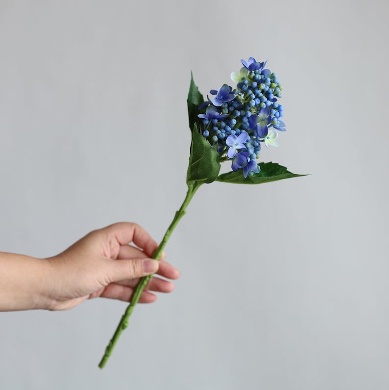 May include: A single stem of blue hydrangea flowers with green leaves. The flowers are clustered together and have a delicate, airy appearance.