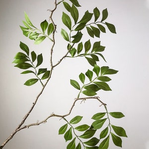 31" Green Wisteria Leaves, Faux Wisteria, Artificial Wisteria, Wisteria Flowers, Artificial Greenery, Faux Leaf Plants, Home Decor image 4